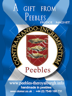 Bespoke fridge magnet the town of Peebles